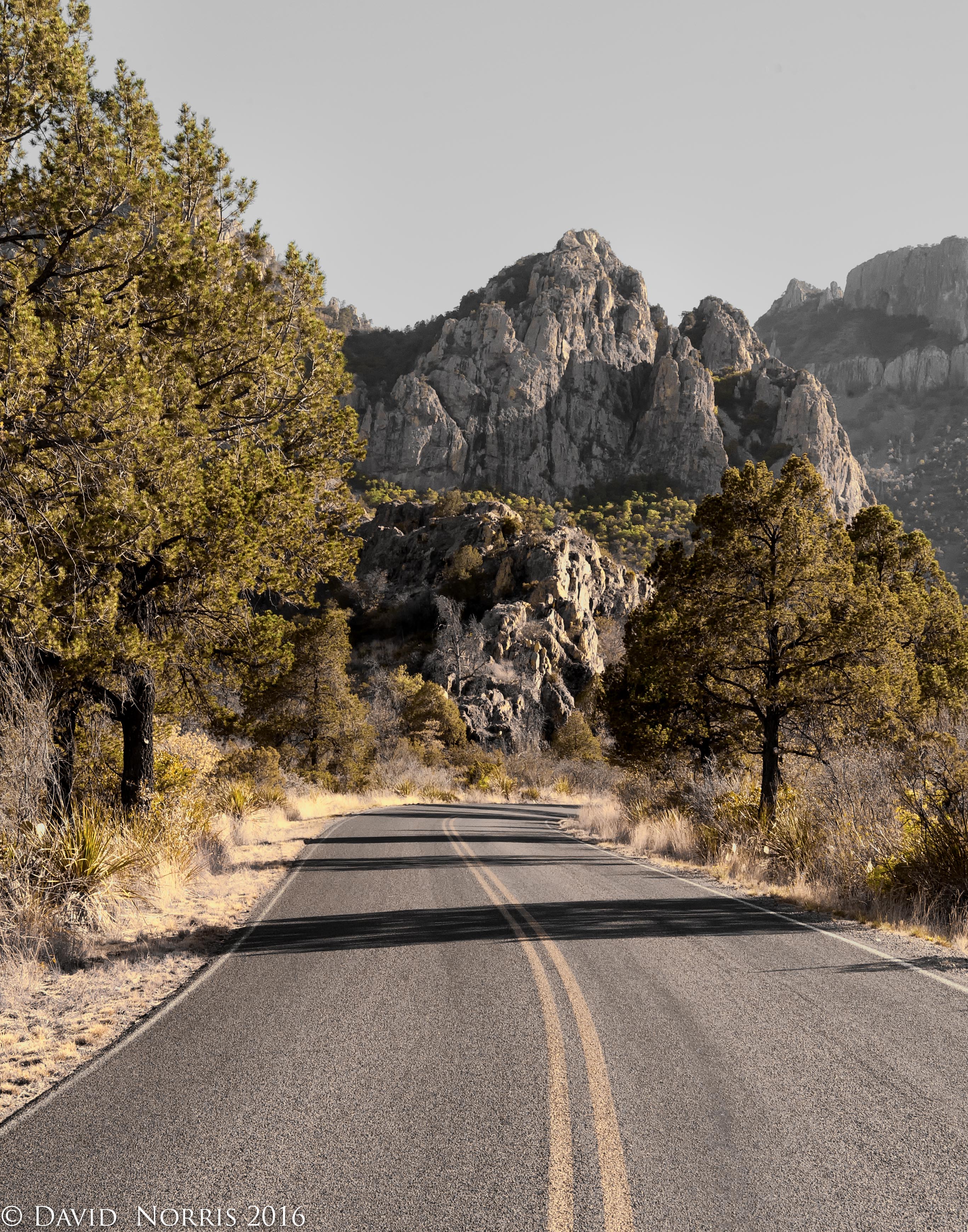 FOCUS ON THE BACKROADS:  BIG BEND TEXAS