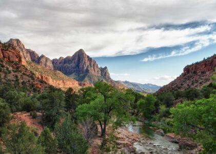FOCUS ON THE BACKROADS: ZION NATIONAL PARK
